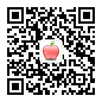 zotye是什么车